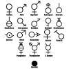 Gender with description