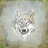 loup