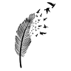 Plume et oiseau