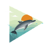 Dolphin - sunrise - ocean
