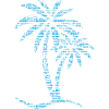Palm OCEAN
