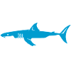 Mama Shark