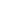 Bug Race