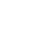 Cargo bike dog