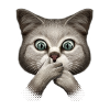 SHOCKING CAT