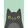 Black cat