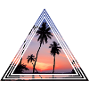 Palmiers au coucher du soleil