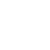 Idée cadeau Fox