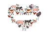 Vegetarier/Vegan Geschenk