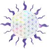 Fleur de vie Sun Mandala Rainbow
