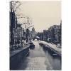 frozen amsterdam
