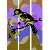 Vogelhäher