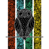 Owl wise head