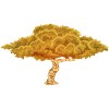 Herbstbaum