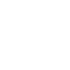 FPV