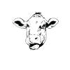 Life is better with cows