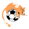 Cat with football