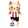 Cat with football