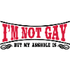 I'm not Gay...