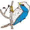 Cute bird illustration
