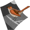 Bird nightingale