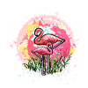 Pink flamingos