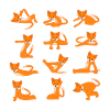 Foxes doing yoga