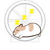 Hamster - Hamsterhalter - Hamsterrad - Lazy