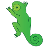 Reptile - Chameleon - Chameleons - Gift
