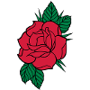 Rose - Dreifarbig