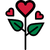 Valentine's Rose in heart shape