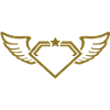 shield_gold__logo__f1