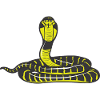 Cobra snake eyeglasses snake erect