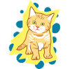 Doux chat triste bébé