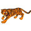 tiger