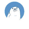 Seerobbe thumb up sea animal Sea Lion Funny