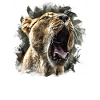 Löwin Löwenkopf