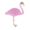 flamingo