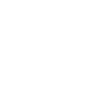 Sturschaedl