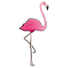 Flamingo