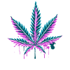 Cannabis leaf hemp leaf