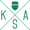 Saudi Arabia motif