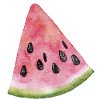 Pastèque Melon