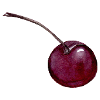 cherry