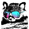Red panda with sunglasses