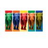 Elephants - Pop Art