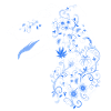 Blumenkohl III