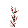 Arbre japonais