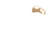 Frettchenfreund - Frettchen - Bester Freund