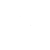 Giraffen Reiter